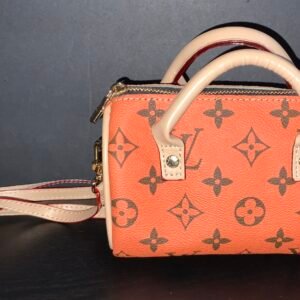 Mini Purse LV Orange